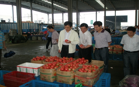 2011年6月嘉興市委常委、市政府常務副市長蔣唯民一行蒞臨蔬菜市場視察菜籃子供應工作