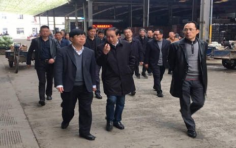 2017年3月16日下午，嘉興市委常委、常務副市長樓建明帶領市級相關部門負責人視察嘉興蔬菜批發(fā)市場