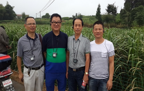 2014年8月，中國蔬菜流通協(xié)會會長戴中久與公司、市場領導一起考察蔬菜基地