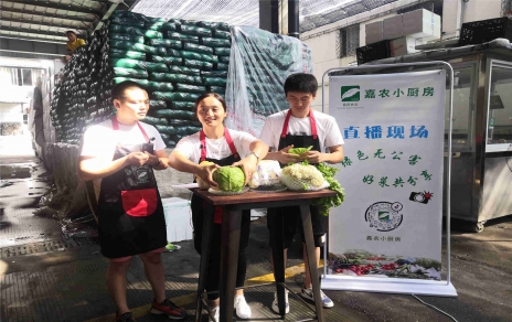 創(chuàng)意直播帶貨,本期專欄：蘭州高原夏菜！