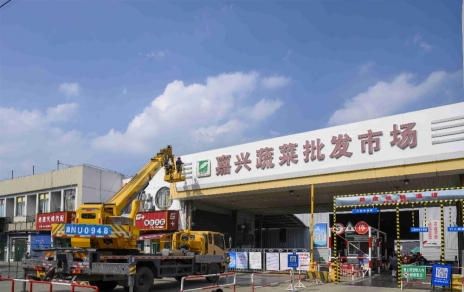 進(jìn)無止境，“嘉農(nóng)?蔬菜人”