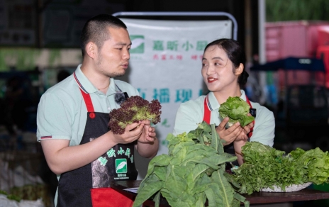 千金如玉，一口清心--生菜?油麥菜?萵筍直播專場(chǎng)